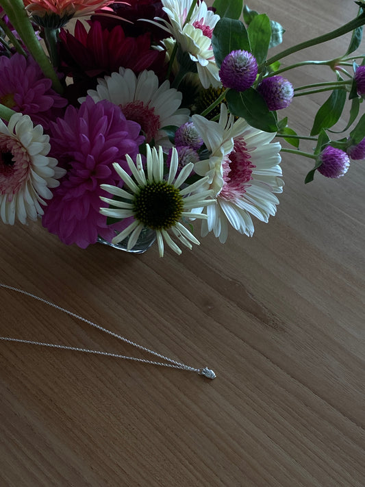 The Amphora Necklace